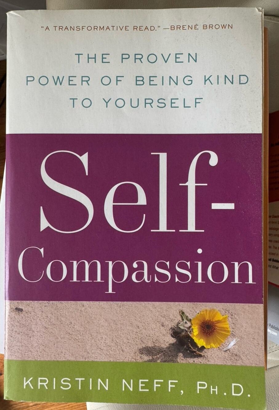 Self-Compassion: The Proven Power of Being Kind to Yourself (Paperback )